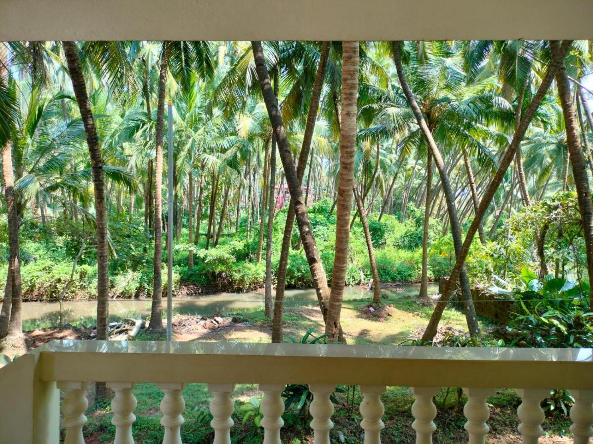 Santana Guest House Agonda Dış mekan fotoğraf